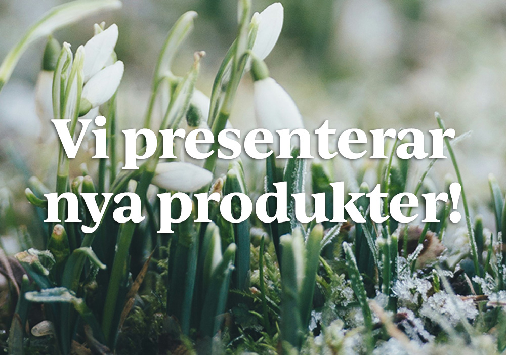 Nyhetsbrev februari 2026