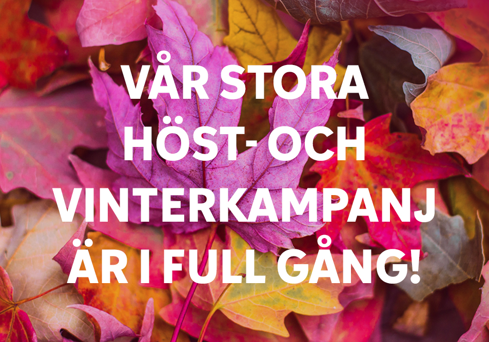 Nyhetsbrev oktober 2025